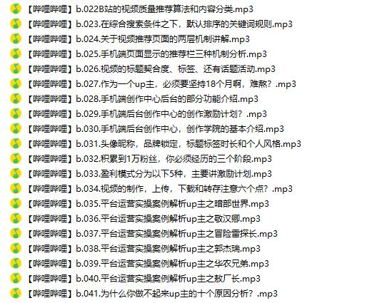 嗶哩實操運營從0到20萬粉【已完結】-資源網站