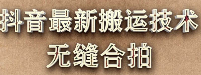 抖音搬運(yùn)技術(shù)-最近很火的搬運(yùn)方法,無(wú)縫合拍-視頻教程-資源網(wǎng)站