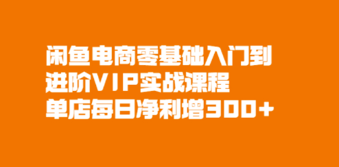 電商VIP實戰課程店鋪日凈利潤增加300-資源網站