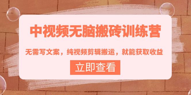 視頻無腦搬磚訓練營-不寫文案-純視頻剪輯搬運-就能獲取收益-資源網站