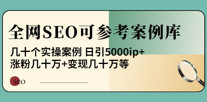 全網SEO參考案例庫分享-幾十個實操方案-日引5000ip-漲粉百W-變現幾十W不等-資源網站