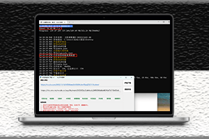央視視頻下載工具1.0版-資源網站