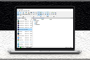 新版電腦Windows專業(yè)卸載工具-Total Uninstall-資源網(wǎng)站