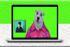 實時直播換臉出鏡-卡通形象面部捕捉-軟件-教程-資源網站