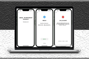 微信域名檢測免費接口是否能在微信正常打開API源碼-資源網站