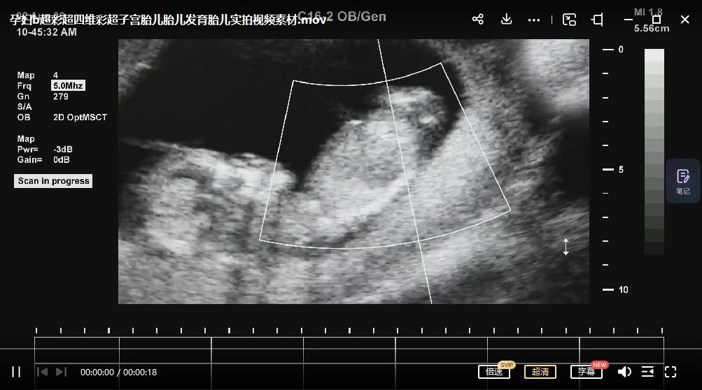 抖音快手藍海無人直播