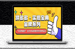 拼多多金牌系列全方位各種玩法-資源網站