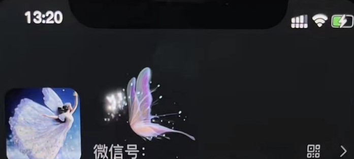 圖片[3]-微信動態昵稱設置方法_可抖音直播引流_詳細視頻教程+素材-資源網站