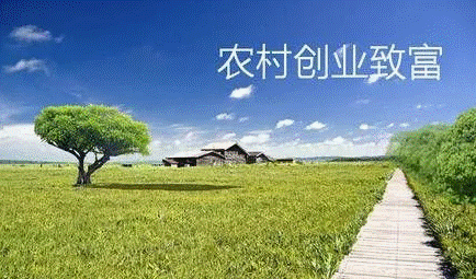 圖片[1]-農村商機好項目有哪些-資源網站