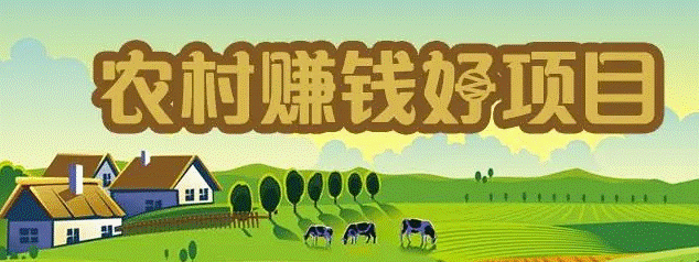 農(nóng)村白手起家賺錢好項(xiàng)目-資源網(wǎng)站
