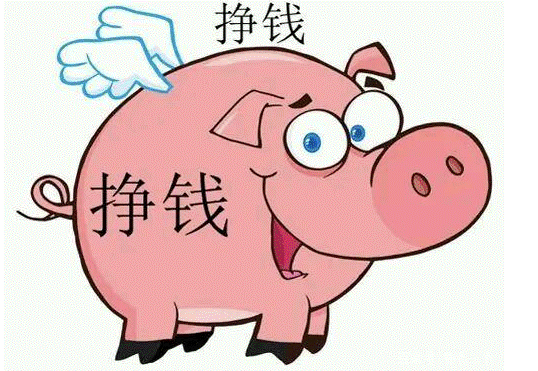 怎么養豬賺錢-資源網站