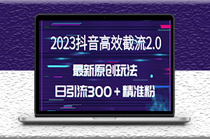 獨家抖音截流玩法_日引300+創(chuàng)業(yè)粉(價值1280)-資源網(wǎng)站