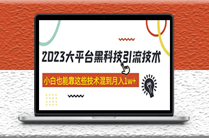 價值4899的2023大平臺黑科技引流技術_小白也能月入1w+(共29節課)-資源網站