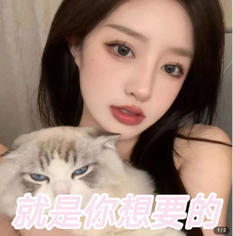 圖片[2]-微信交友項目_吸引LSP男粉變現_小白也能輕松上手-資源網站