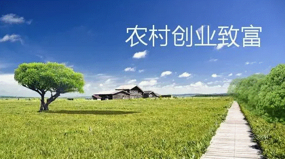 適合城鎮的小生意項目大全-資源網站