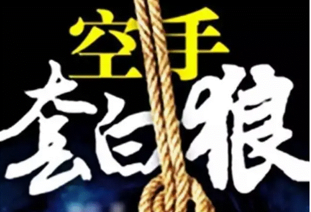 空手套白狼的項(xiàng)目-資源網(wǎng)站