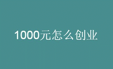 1000元投資創(chuàng)業(yè)項(xiàng)目-資源網(wǎng)站
