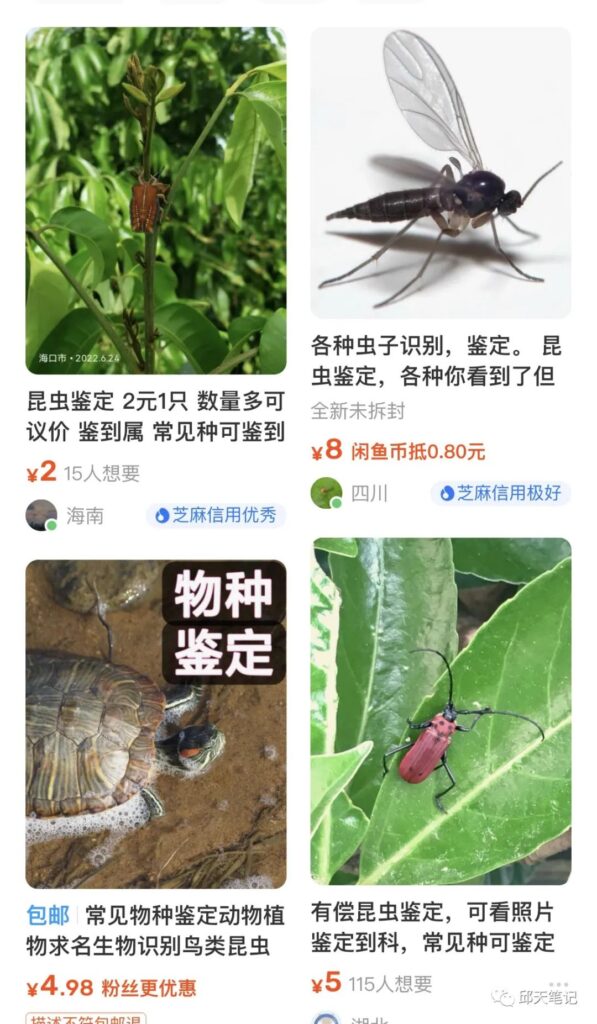 圖片[1]-發掘賺錢的機會：從賣自己的知識跟產品開始，每個人都有機會-資源網站