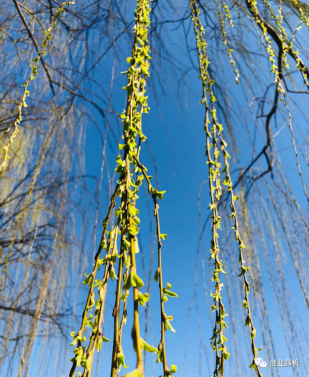 農(nóng)村悶聲賺錢的大商機，加工1噸掙3700元，每天出1-3噸，值得借鑒！-資源網(wǎng)站