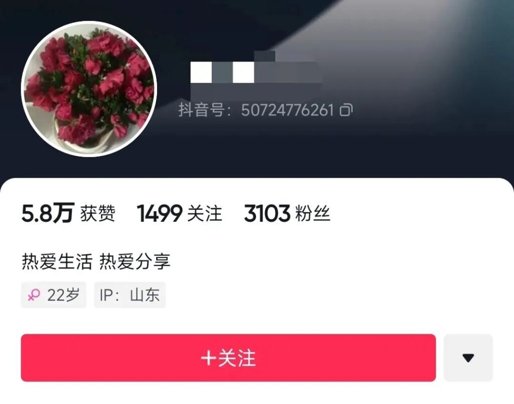 圖片[2]-爆火的抖音小程序項(xiàng)目_新手都能上榜一_一個(gè)作品賺了60000+