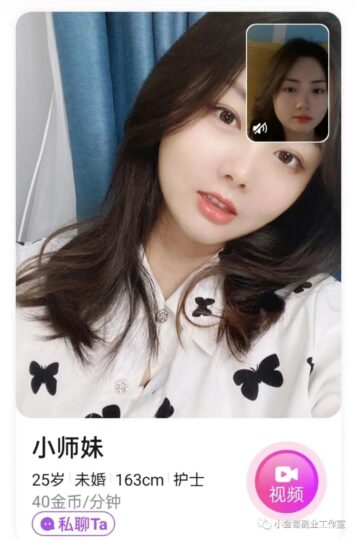 副業聊天賺錢項目（只適合女生）-資源網站