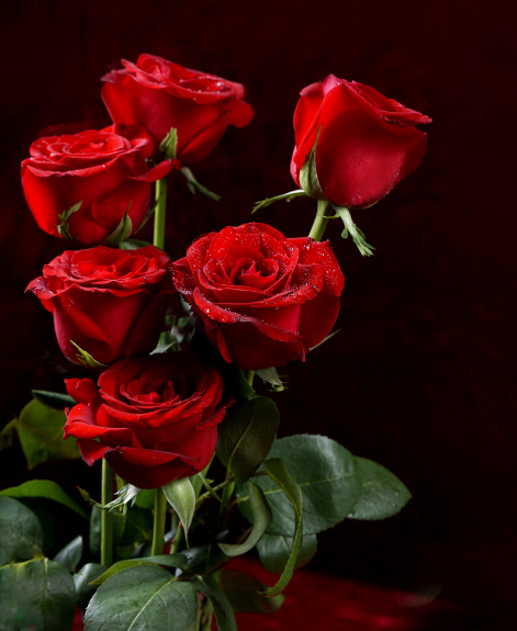 不打工還能旅游_每月收入12萬_悶聲發財的小生意