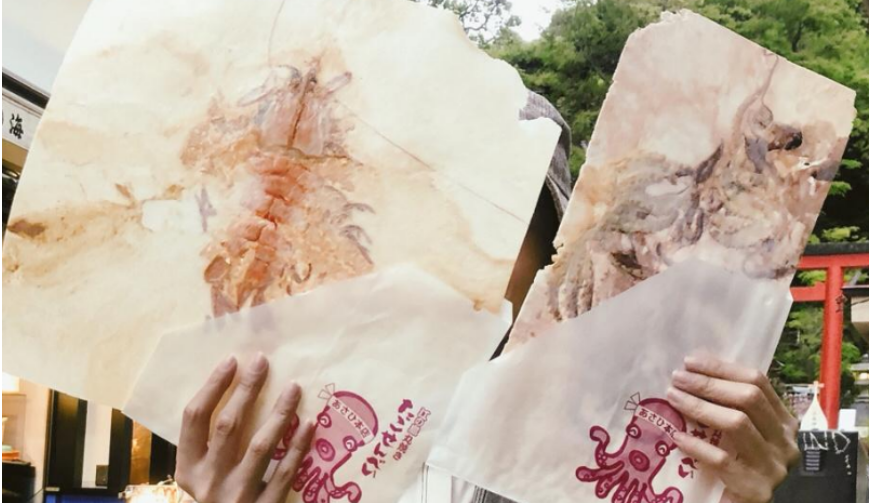 圖片[1]-揭秘新型日式小吃，5元成本卻能賣到30元，年賺20萬！