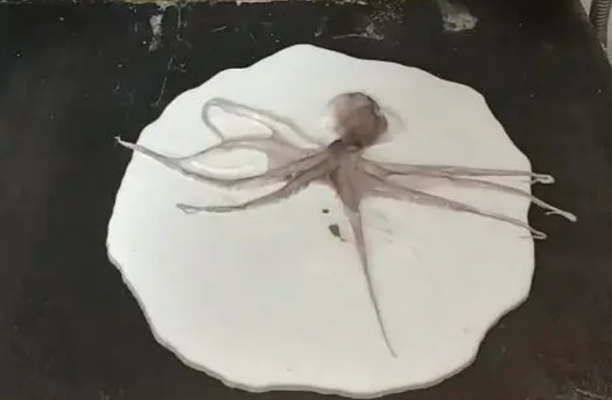 圖片[2]-揭秘新型日式小吃，5元成本卻能賣到30元，年賺20萬！