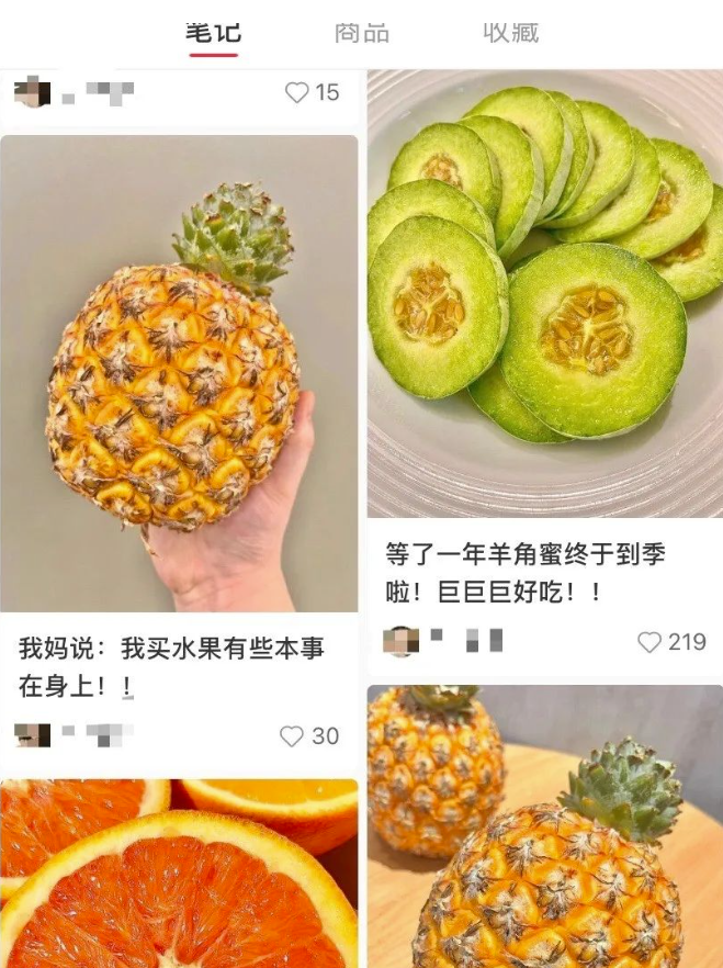 圖片[1]-一個小紅書小眾的賽道-資源網站