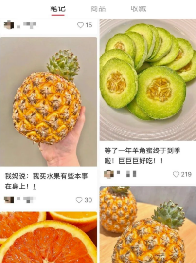 一個小紅書小眾的賽道-資源網站