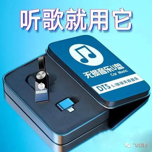 月入過萬的車載U盤項目：成功背后的秘密揭示-資源網站