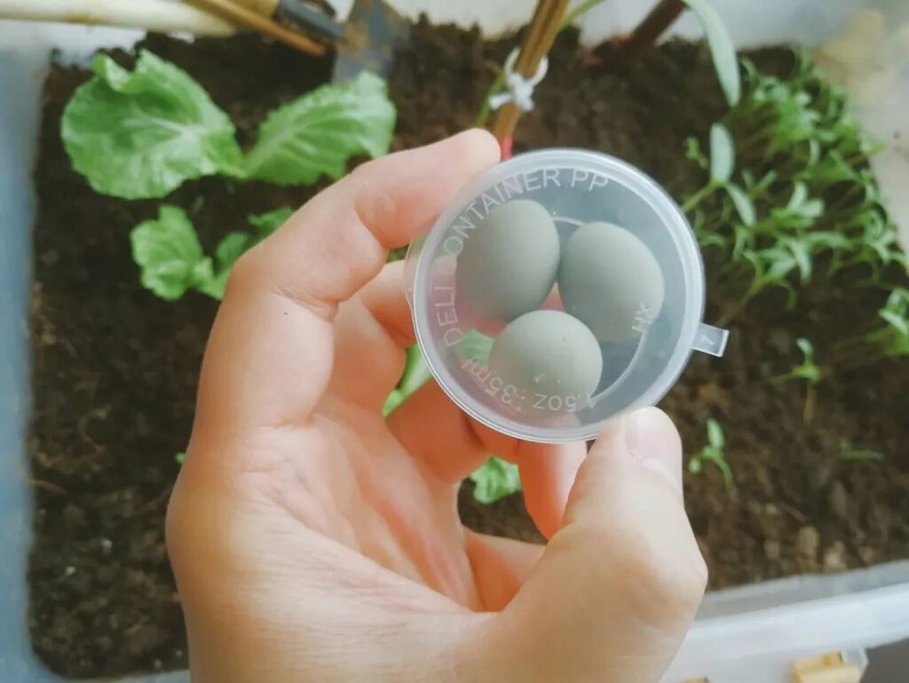 圖片[3]-2000元投資，1個半月賺近3萬！養殖暴利項目揭秘！-資源網站