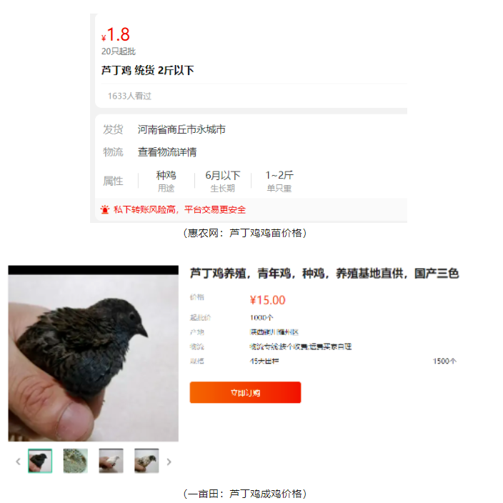 圖片[2]-2000元投資，1個半月賺近3萬！養殖暴利項目揭秘！-資源網站