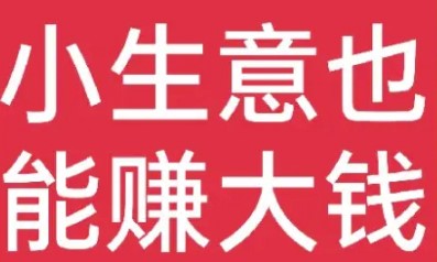1個月悶聲致富，20w打底小生意如何做到？-資源網站