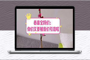 恭喜寶媽們:又要被我引流了_超詳教程+222g資料-資源網(wǎng)站