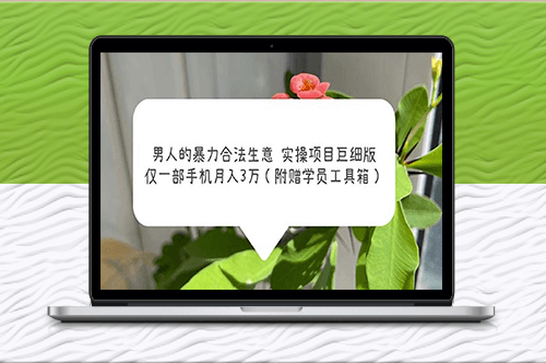 暴力合法生意實(shí)操：一部手機(jī)月入3萬_男人專屬賺錢項(xiàng)目-資源網(wǎng)站