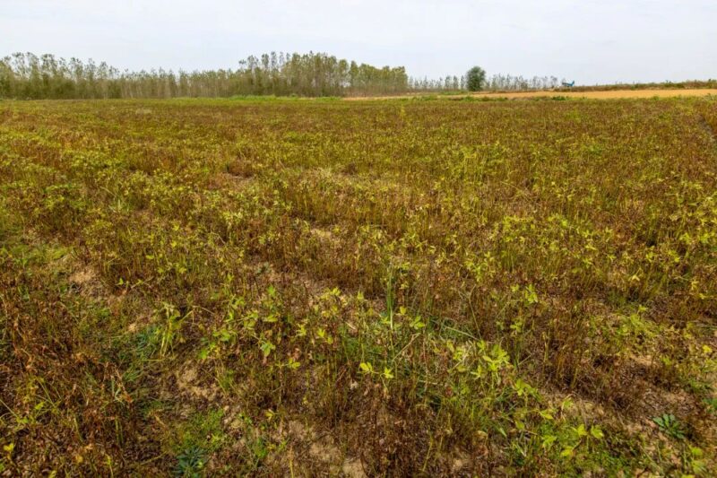 農村暴利生意：400元成本，2個月賺數十萬！-資源網站