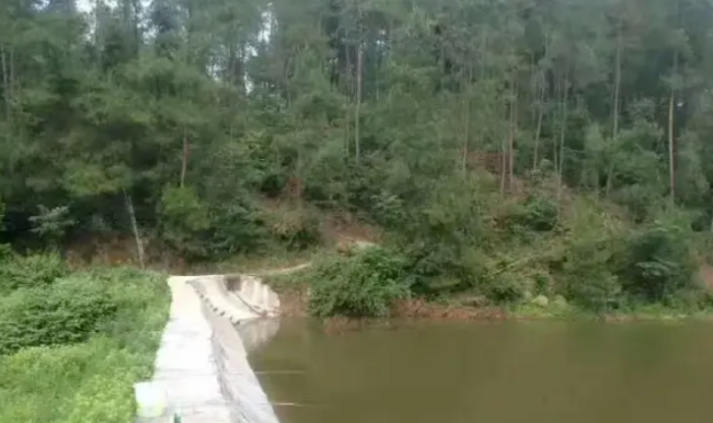 圖片[1]-山上致富！不外出打工，年入百萬(wàn)，門檻低易上手！