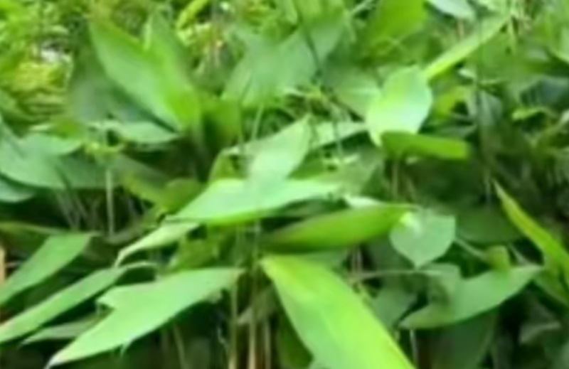 輕松賺錢,2-3個月年入20萬!市場需求大、競爭小-資源網(wǎng)站