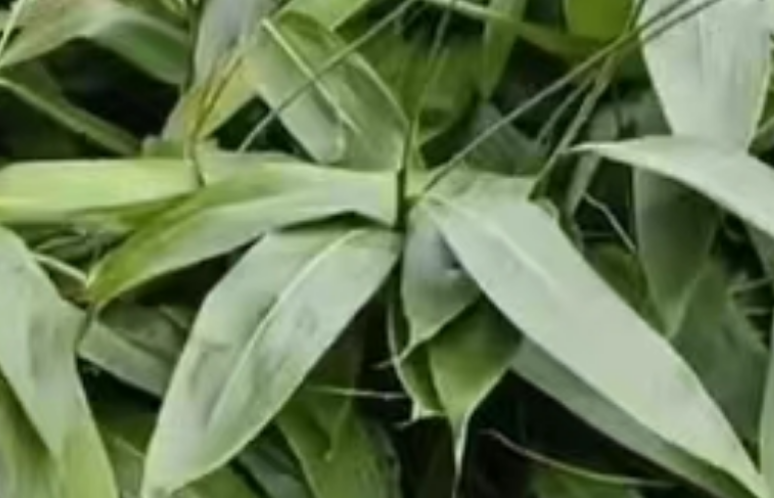 圖片[4]-輕松賺錢，2-3個月年入20萬！市場需求大、競爭小-資源網站