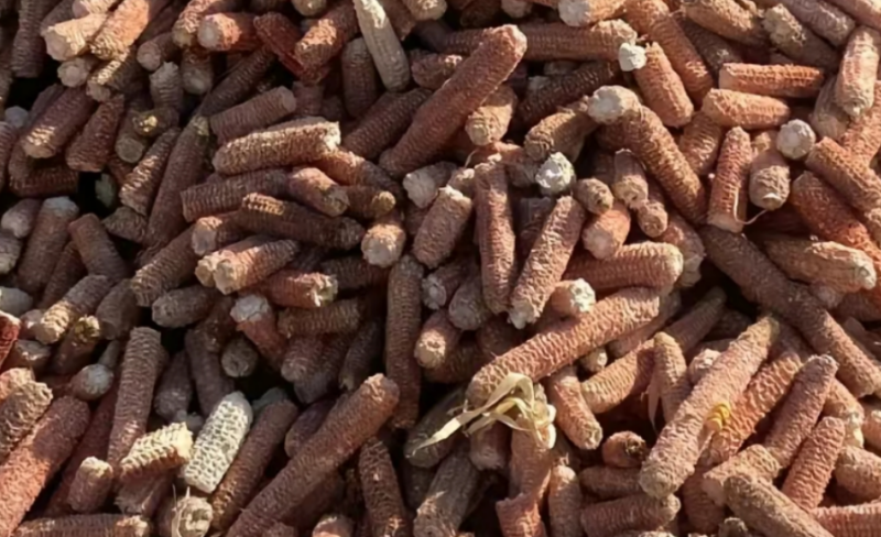 幾百塊錢在農村也能年入40萬!9個月種植生意教你如何做到