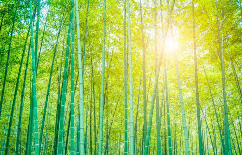 1.5萬投資，年賺20萬！農村小型加工廠如何實現？-資源網站