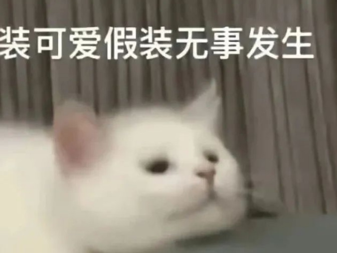 圖片[1]-6種零門(mén)檻項(xiàng)目，在家輕松賺美元-資源網(wǎng)站