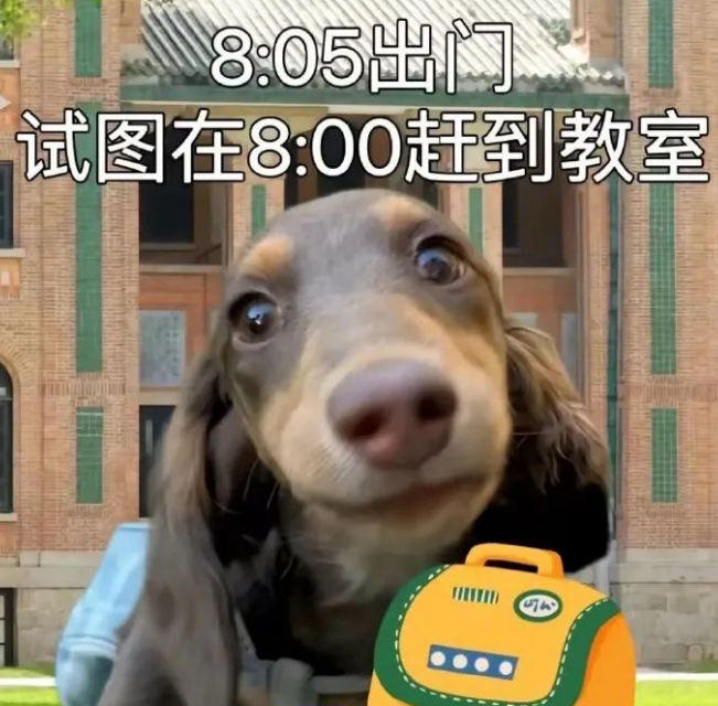 圖片[3]-6種零門(mén)檻項(xiàng)目，在家輕松賺美元-資源網(wǎng)站