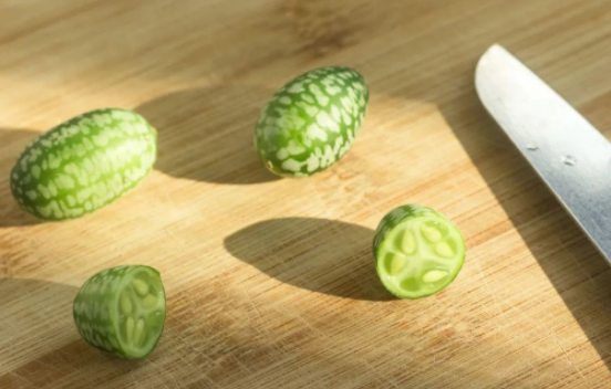 圖片[4]-1畝地投資5000元，收益高達(dá)2萬(wàn)！探索農(nóng)村新型種植項(xiàng)目