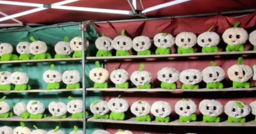 圖片[2]-低成本高利潤賺錢方法_1個下午輕松賺1200元！-資源網站