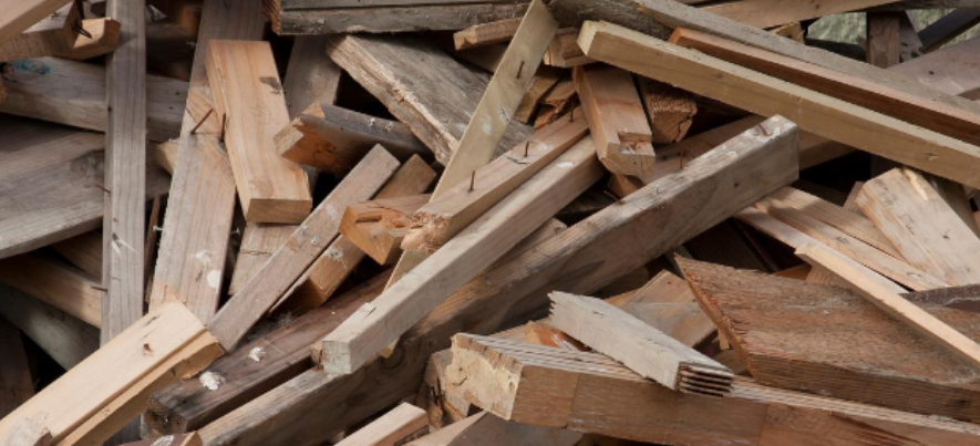 圖片[1]-廢品變現，輕松日賺千元！