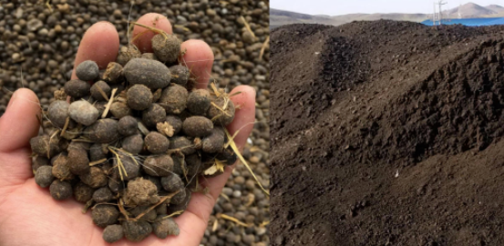 圖片[4]-農村創業，發掘無限商機，年收入百萬不是夢