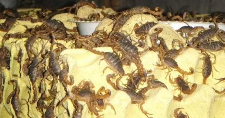 圖片[3]-40歲后月入2-6萬，這3個行業能讓你告別打工！