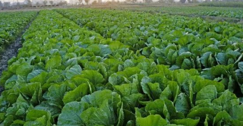 40歲后月入2-6萬,這3個行業(yè)能讓你告別打工!-資源網(wǎng)站